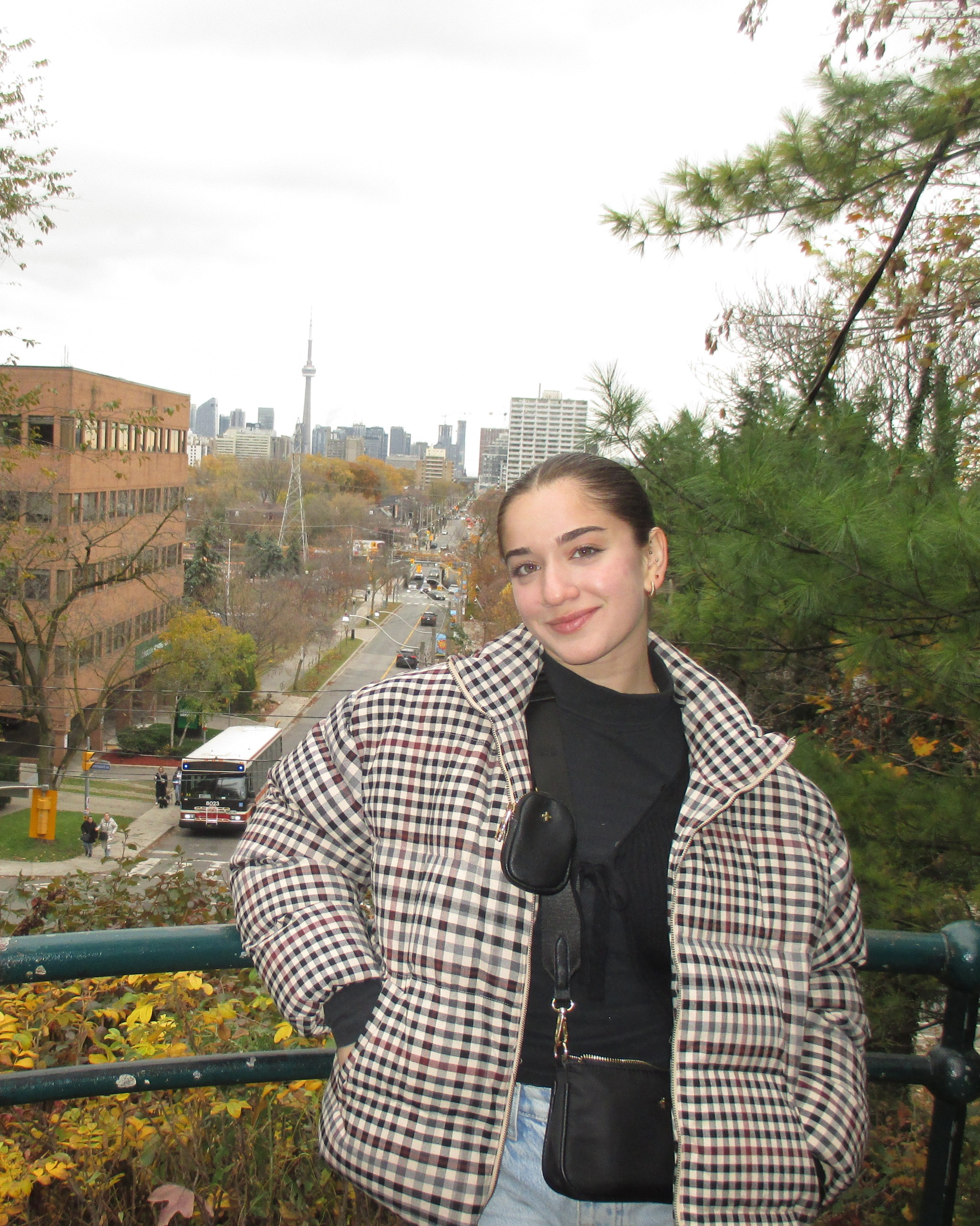 Checkered Target puffer and jeans warm winter cute fit easy to travel in. 

#LTKSeasonal #LTKU #LTKtravel