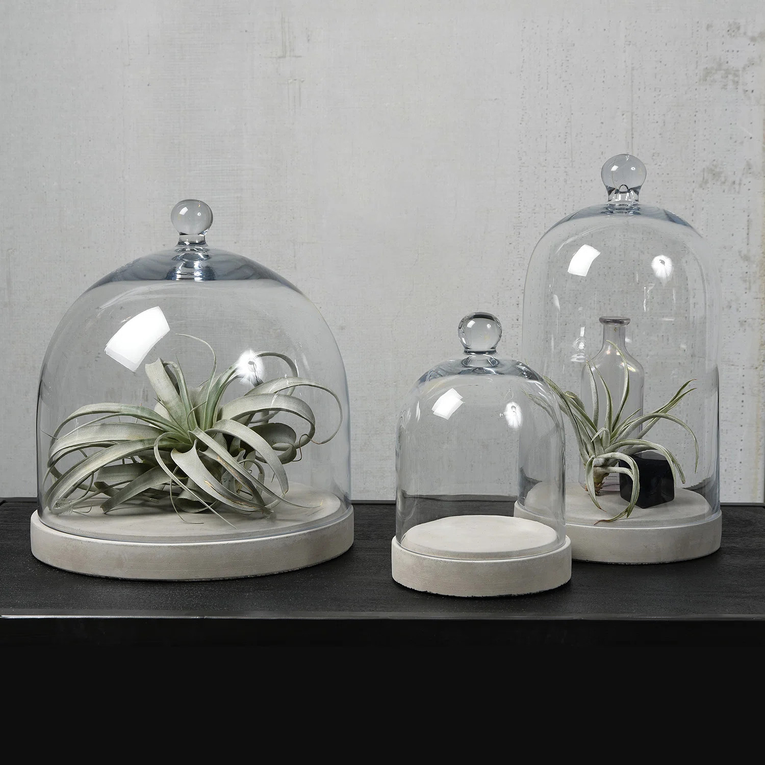Baines Glass Dome | Wayfair North America
