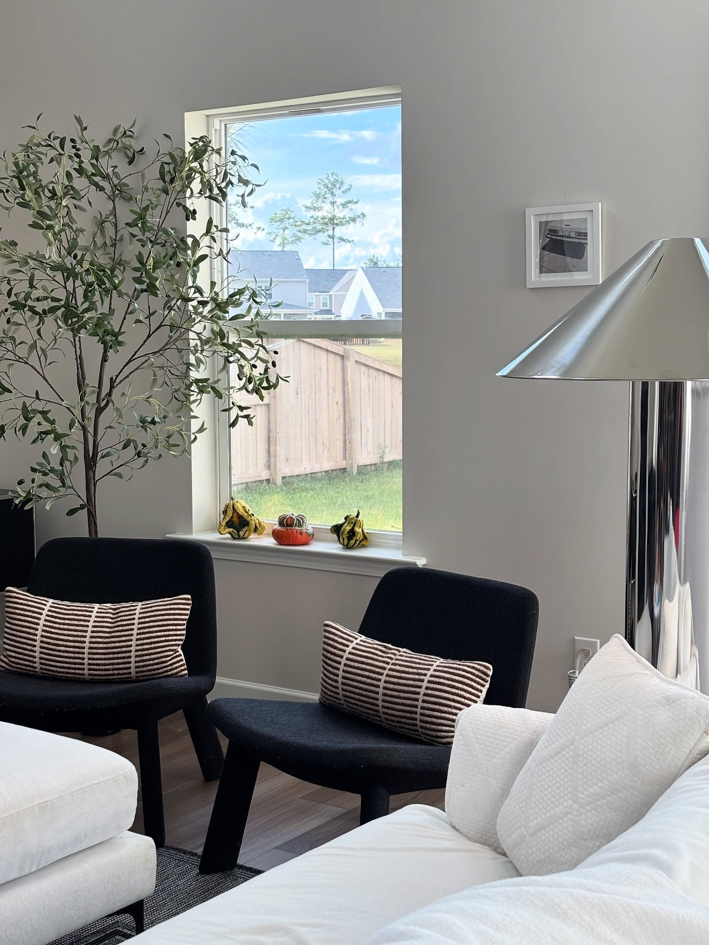 Not pictured: the chaos sitting 3 inches out of frame.