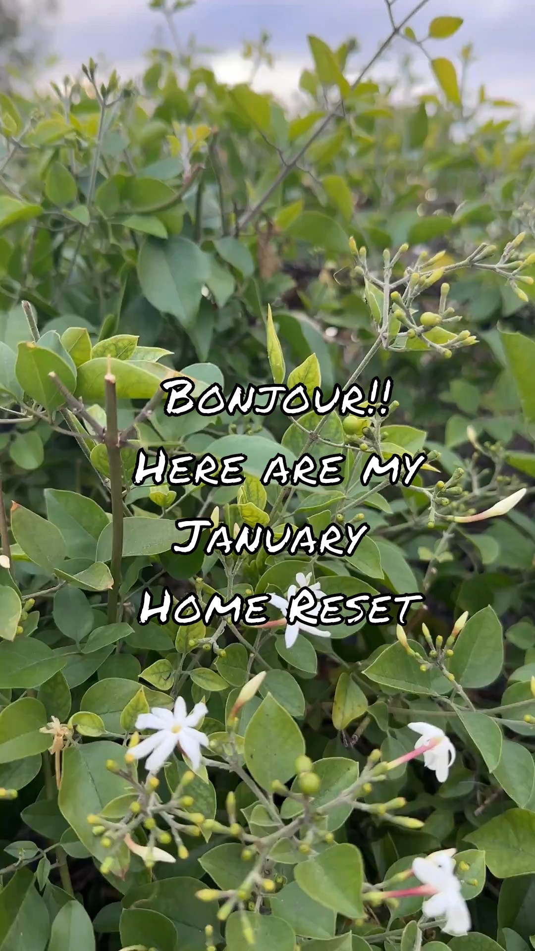 Bonjour!!
Here are myJanuary 
Home Reset: 
Share the home updates you're making post-holi

#LTKWedding #LTKHome #LTKdayinmylife