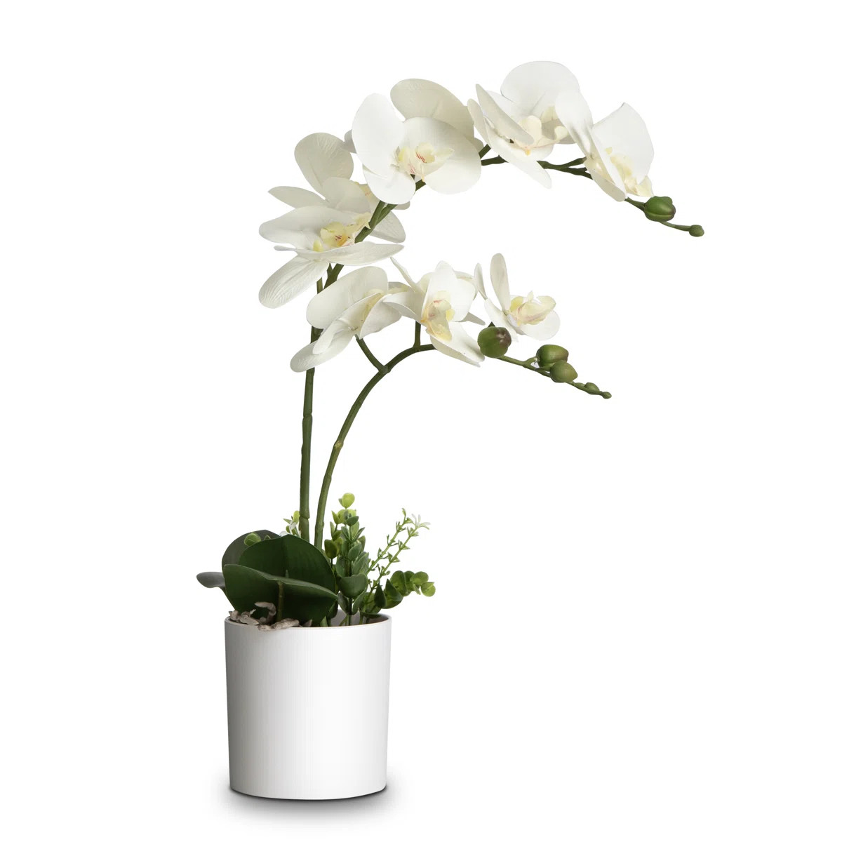 Silk Orchid Arrangement In Pot | Wayfair North America