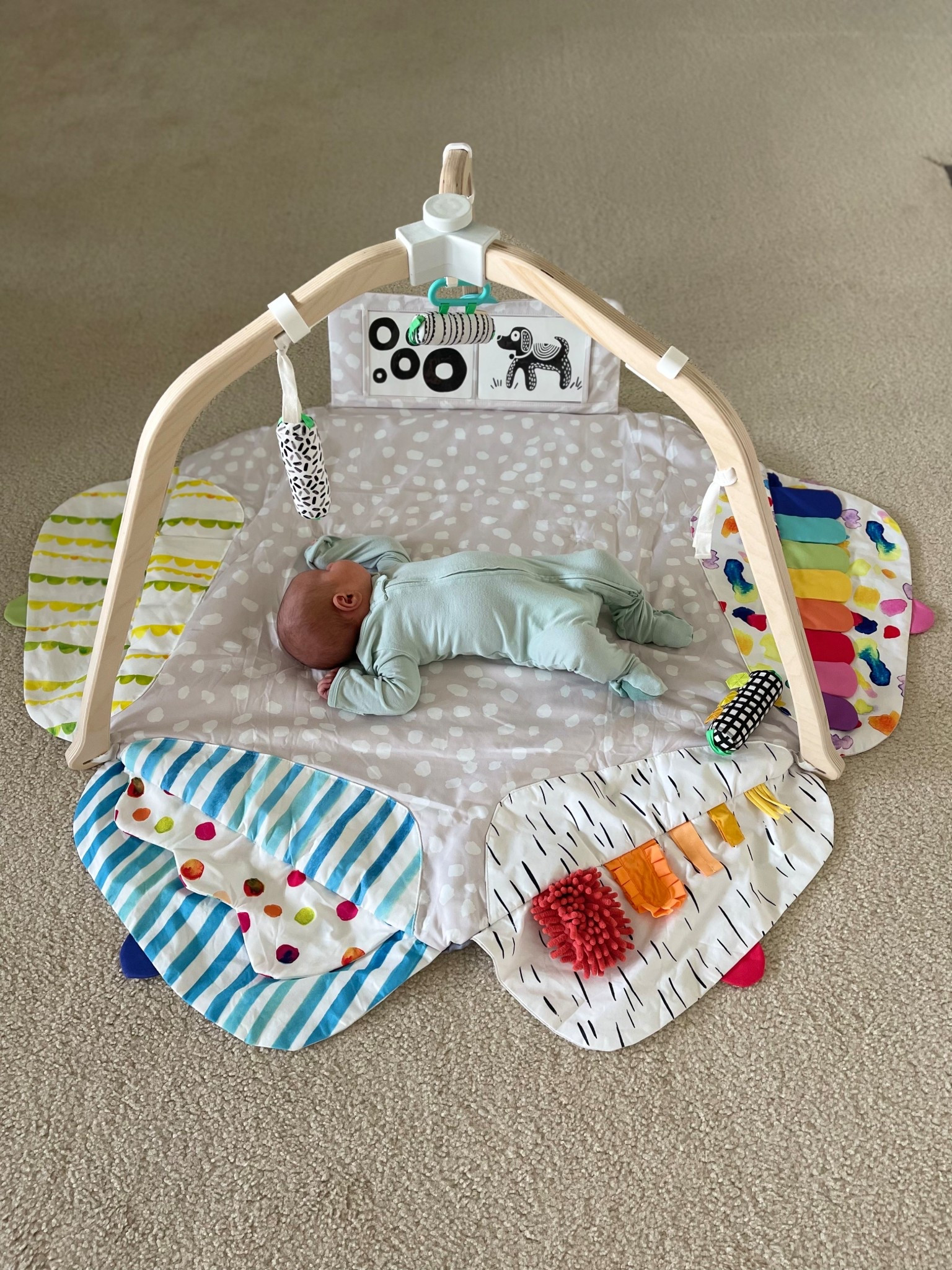 Our favorite play mat for babies! It’s so easy to put up and down for storage! 

#LTKmomlife #LTKBaby #LTKKids