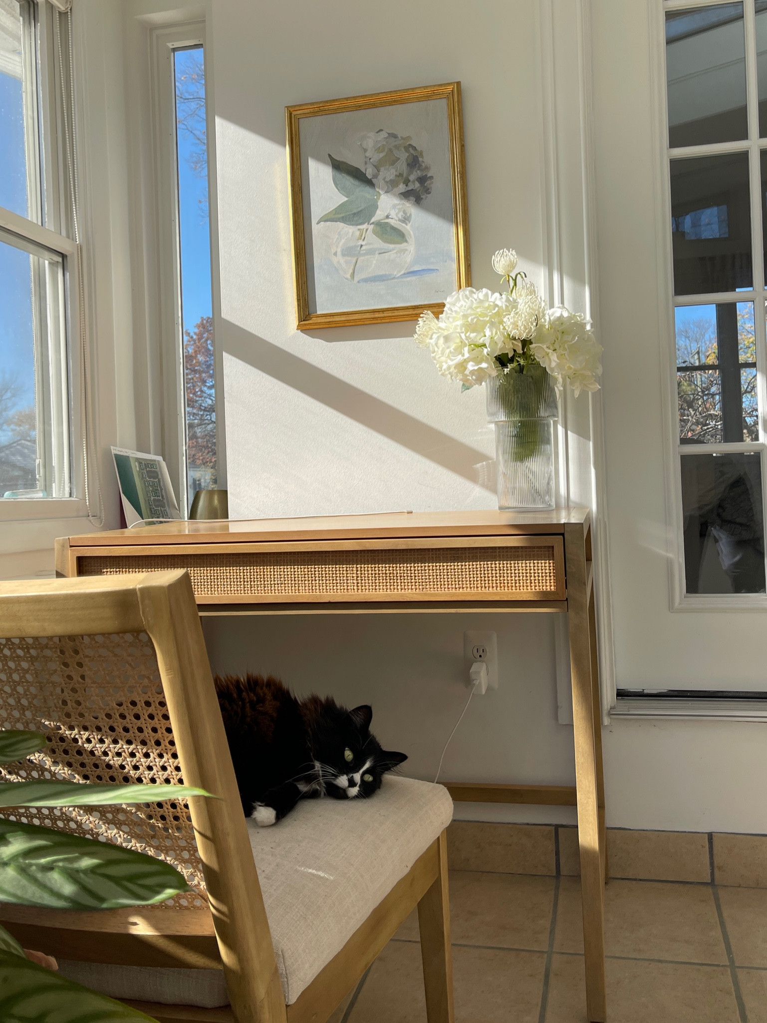 Linking as much of my office as I can! I love the chair, but the fabric has started to pill after about a year. Nothing a fabric shaver can’t fix, but just wanted to call it out! 

#LTKHome #LTKSeasonal #LTKCyberWeek