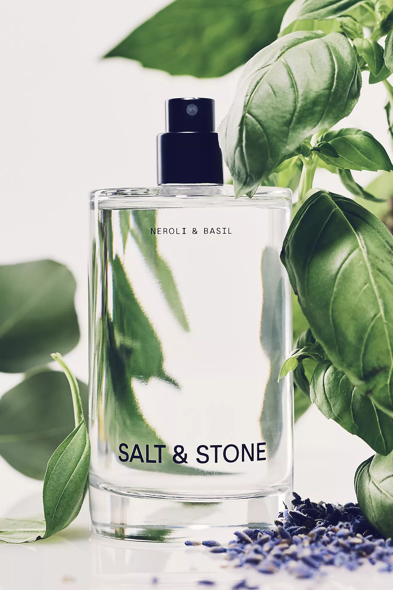 SALT & STONE Neroli & Basil Body Mist | Anthropologie (US)