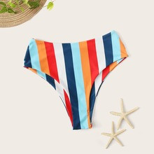 Rainbow Stripe High Waisted Bikini Panty | SHEIN