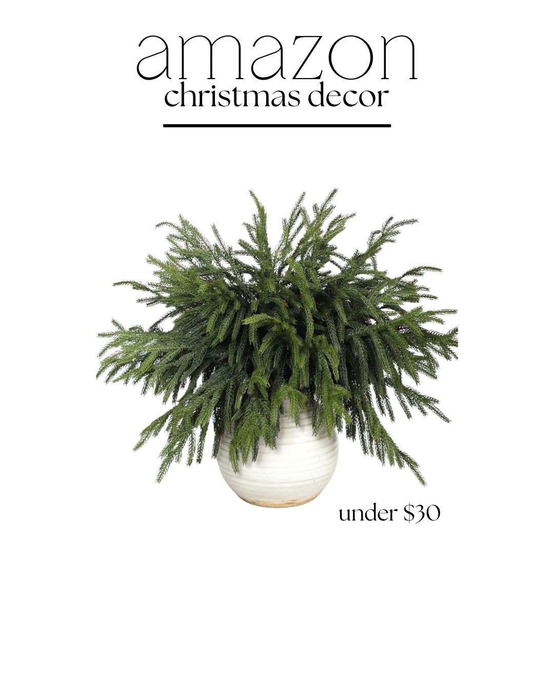 20 pine branches for under $30

christmas decor | christmas pine branches | christmas centerpiece | holiday decor

#LTKSeasonal #LTKHoliday #LTKHome
