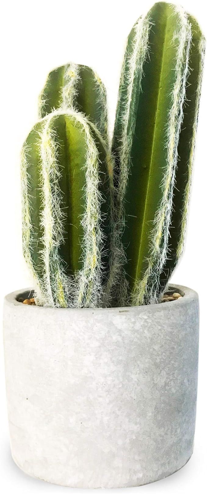 Oxxy Artificial Succulent Plants, Faux Plant for Home Decor Indoor, Fake Cactus with Gray Pot (10... | Amazon (US)