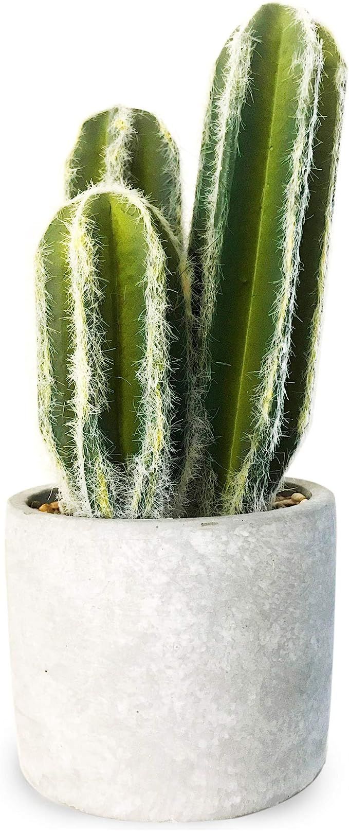 Oxxy Artificial Succulent Plants, Faux Plant for Home Decor Indoor, Fake Cactus with Gray Pot (10... | Amazon (US)