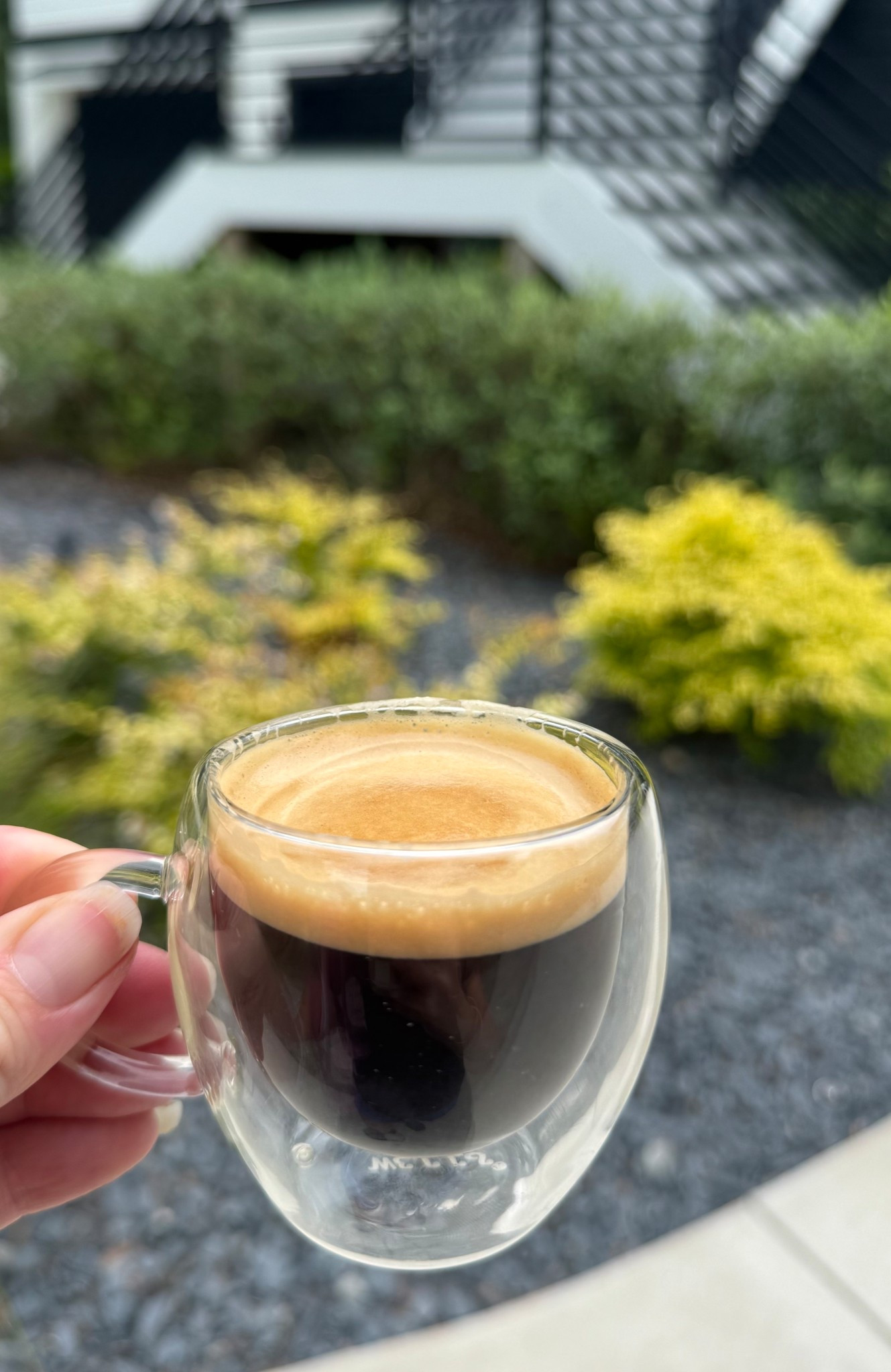 My favorite espresso cups! 

#LTKSaleAlert #LTKFindsUnder50 #LTKHome