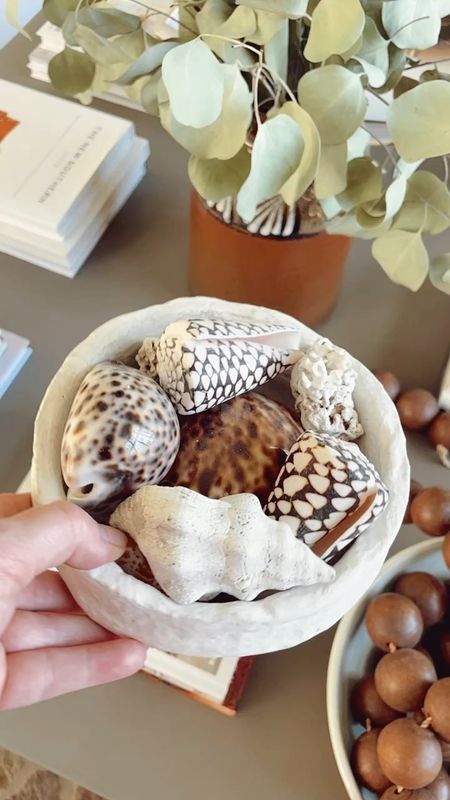 Paper mache bowl filled with shells 🐚

#homedecor #centerpiece #seaside #beachhouse #coffeetabledecor#consoletabledecor 