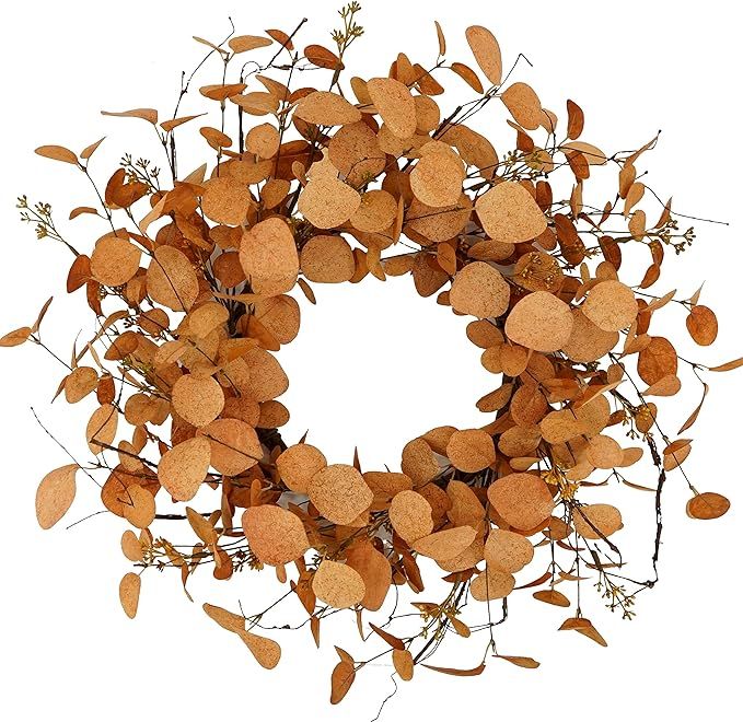 20 inch Artificial Fall Eucalyptus Wreath for Front Door with Orange Eucalyptus Leaves,Dry Vine B... | Amazon (US)