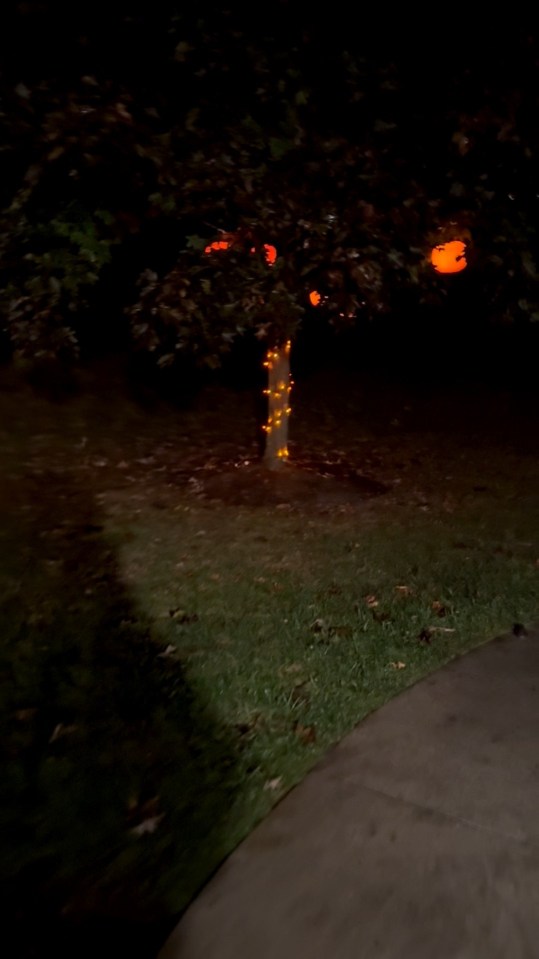 My kids love our pumpkin tree. So easy to make! 

#LTKFamily #LTKHalloween #LTKSeasonal