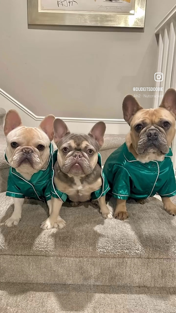 Cutest satin pajama set for the fur babies. Their legs are too short for the pants so satin tops will do. Size medium small and large. Also comes in red! 

#LTKFindsUnder50 #LTKHoliday #LTKGiftGuide