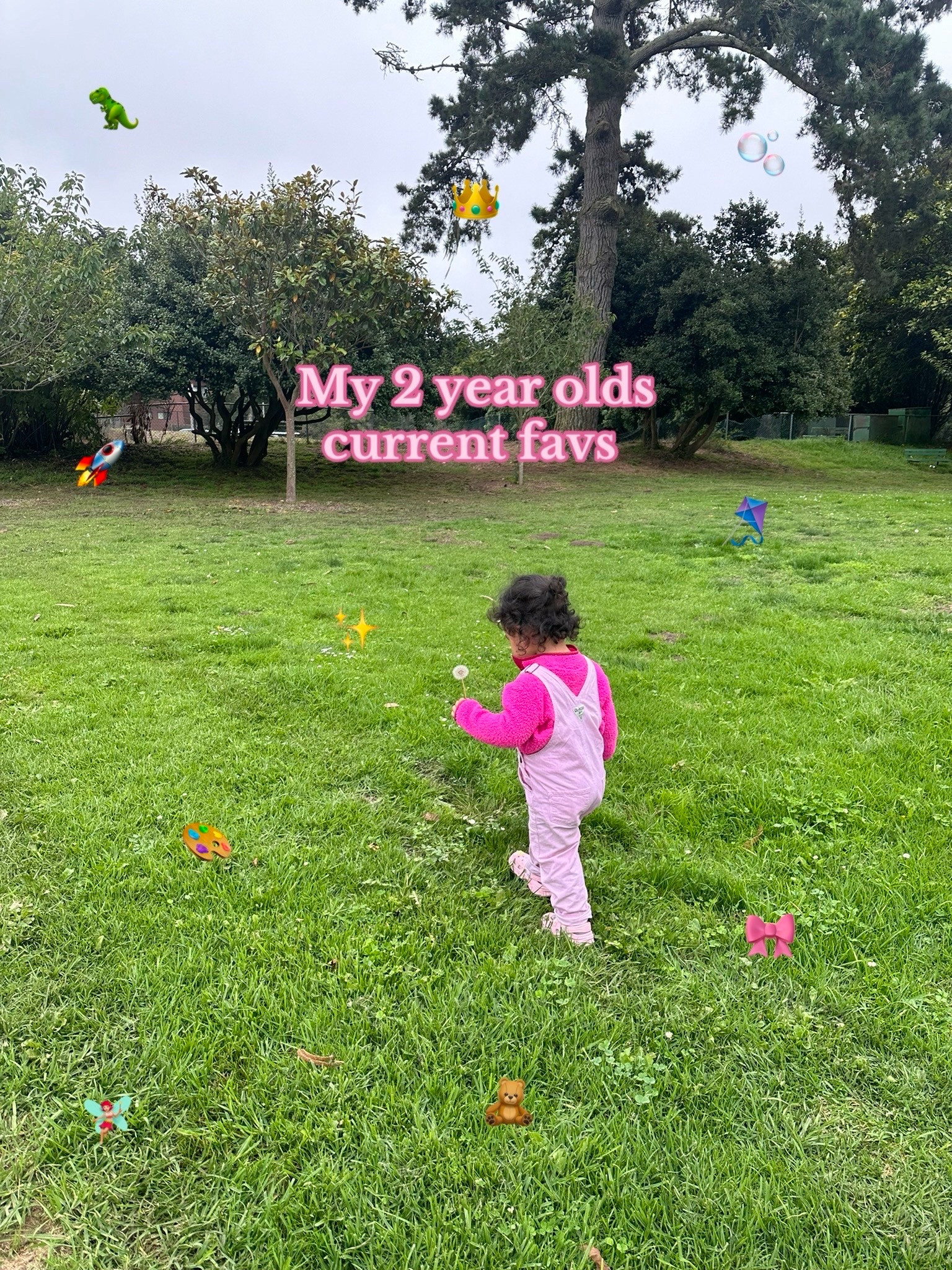 My 2 year olds favorite toys 

#LTKBaby #LTKGiftGuide #LTKKids