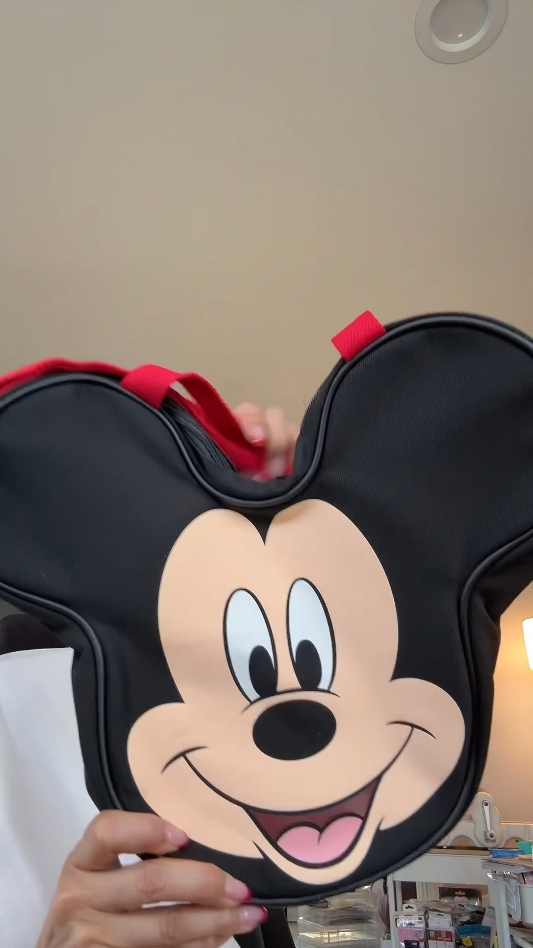 The mini big face Mickey bag! 

#LTKSeasonal #LTKOver40 #LTKootd