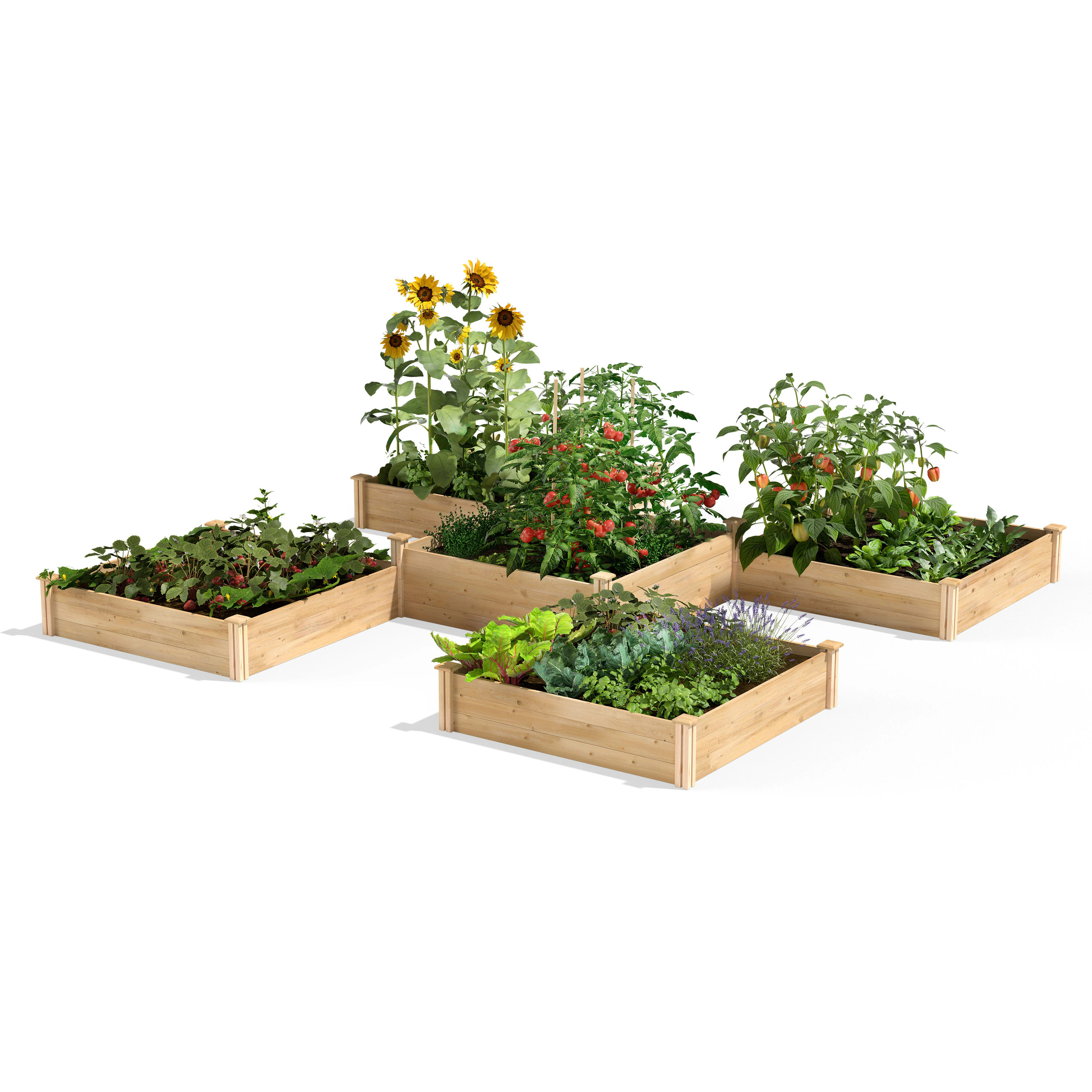 Greenes Fence 74.7-cu ft 144-in W x 144-in L x 14-in H Natural Cedar Cedar Raised Garden Bed Large in White | RC12T8S64B | Lowe's