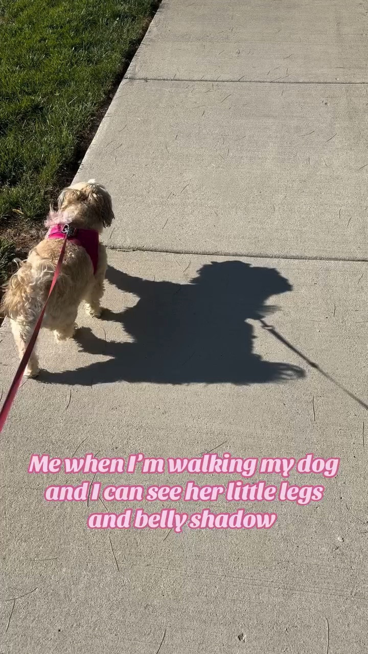 She’s the cutest 🐾
#fyp #girlsbestfriends #dogs #doglover #cuteness

#LTKmorningroutine #LTKfitnessgoals #LTKActive