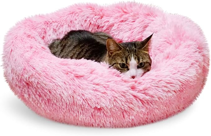 Whiskers & Friends Calming Cat Bed for Indoors, Round Fluffy Dog Bed, Multiple Colors, Sizes, Was... | Amazon (US)