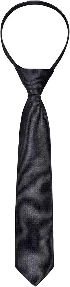 Alizeal Boys Solid Color Pre-tied 2.4'' Zipper Skinny Necktie | Amazon (US)