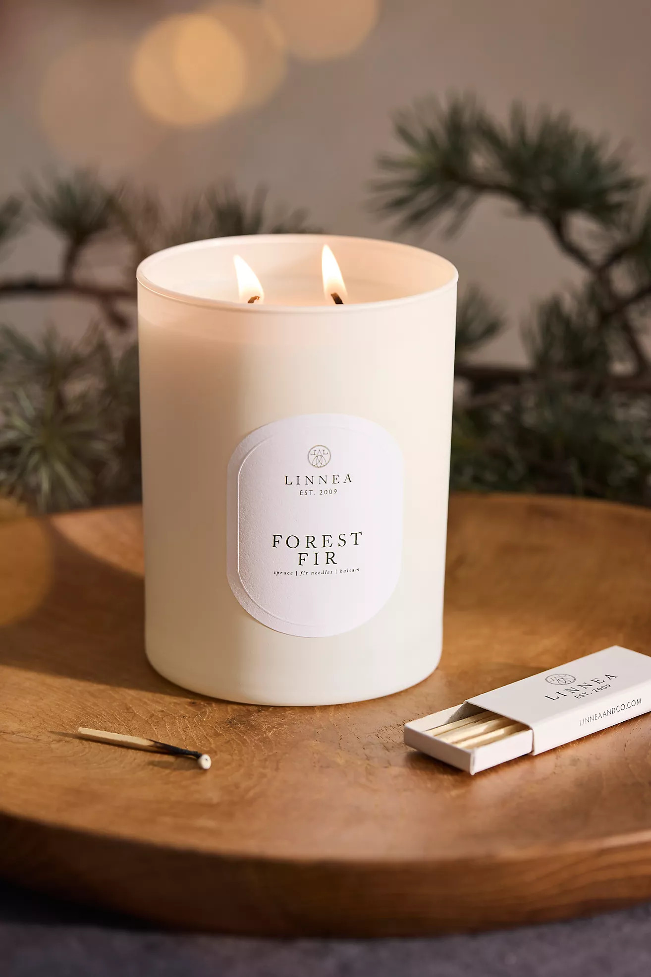 Linnea Candle, Forest Fir | Anthropologie (US)