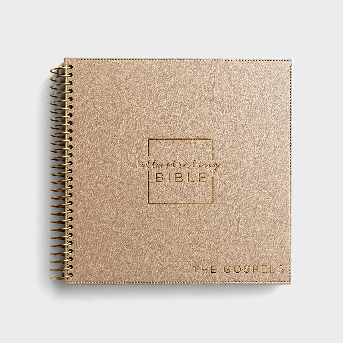 NIV Illustrating Bible - The Gospels | DaySpring