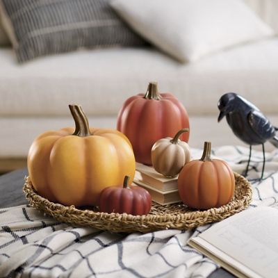 Orange Farmers Market Pumpkins, Set of 5 | Grandin Road