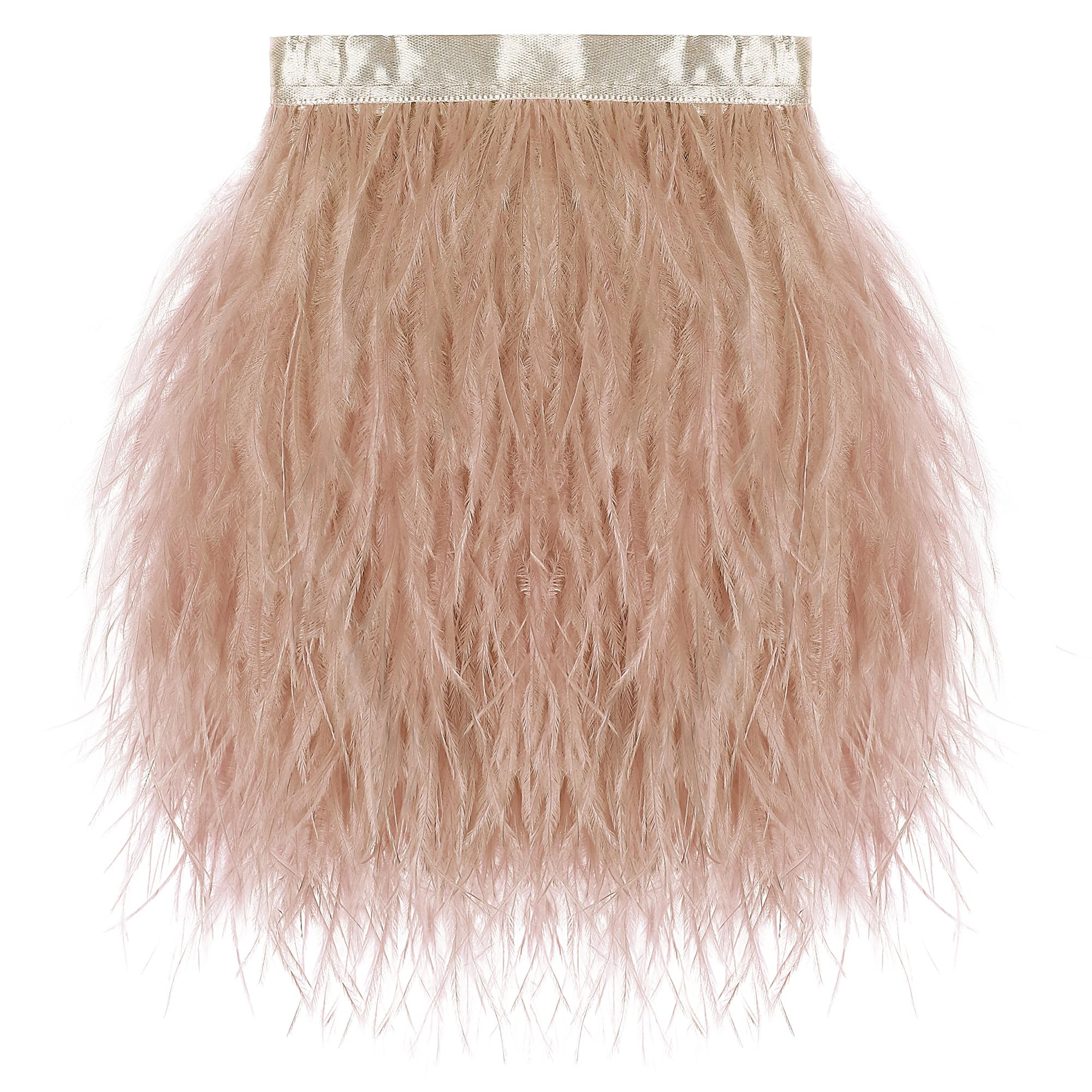 Champagne Ostrich Feather Trim - 1.5Ply 2Yards 4 Inch Feathers Fringe Ribbons Trim for Sewing, Dr... | Amazon (US)