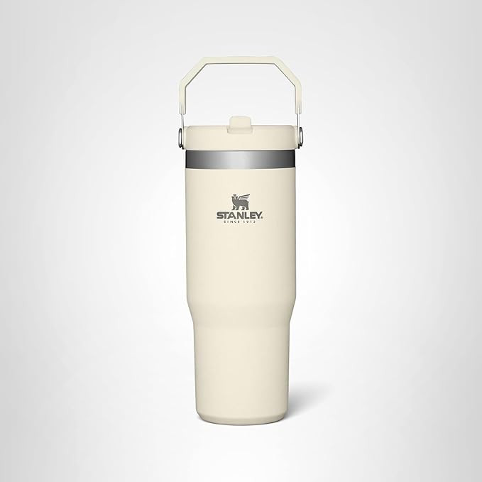 STANLEY IceFlow Stainless Steel Tumbler with Straw - Vacuum Insulated Water Bottle for Home, Offi... | Amazon (US)