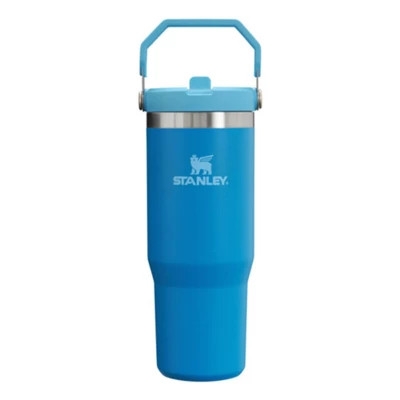 Stanley IceFlow 20 oz Flip Straw Tumbler | Scheels