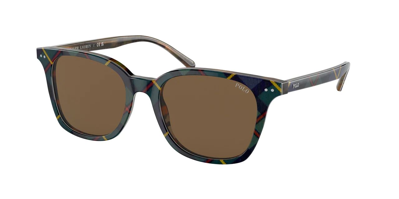 Polo 4187 Sunglasses | Designer Optics