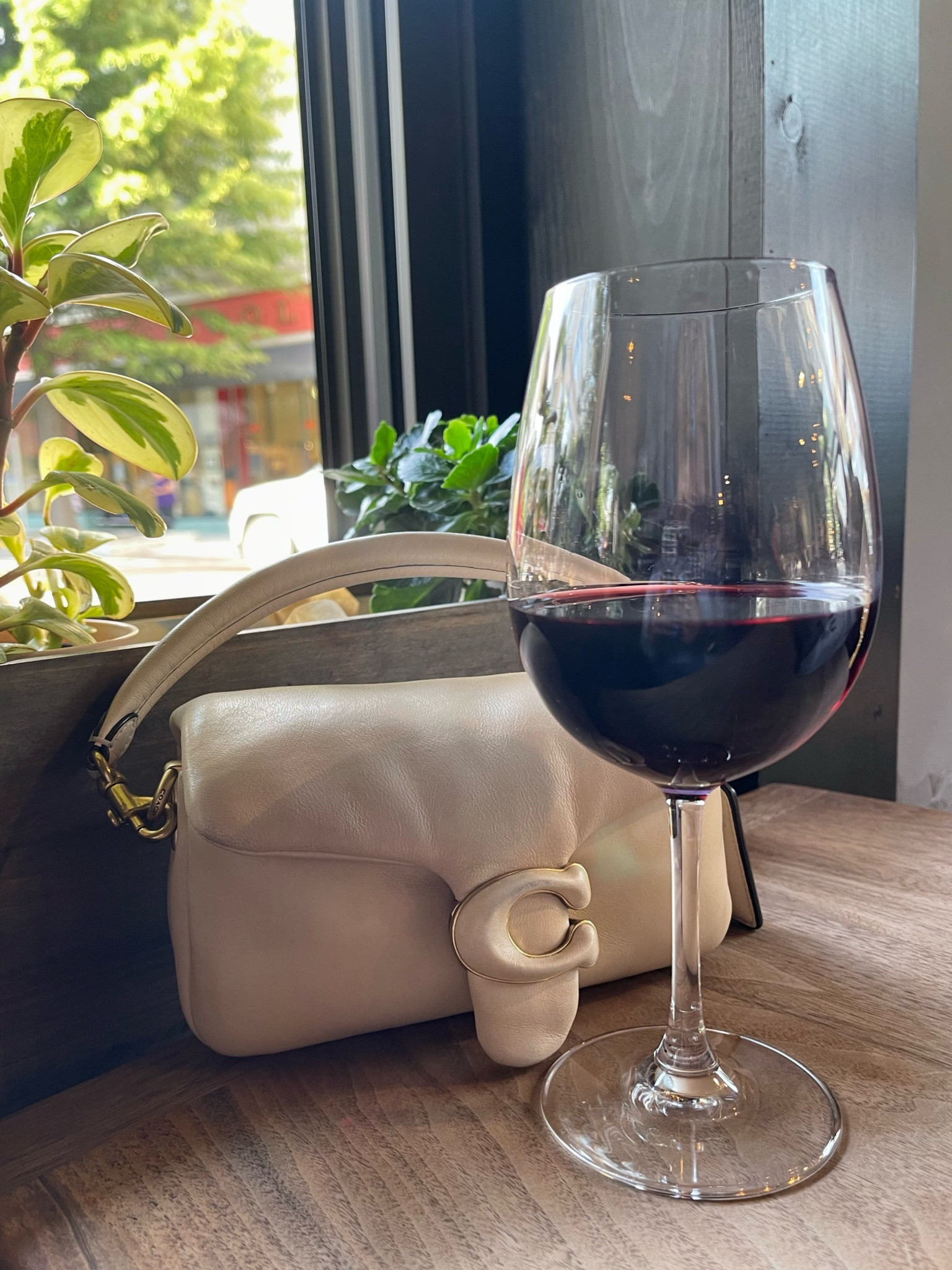 Can’t leave home without my pillow tabby! 