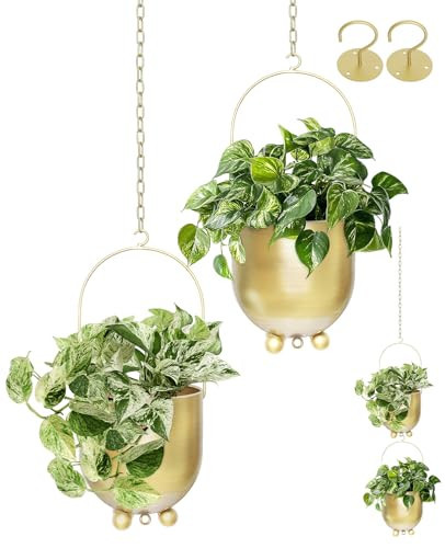 AceList Boho Hanging Planter,6.3 inch Set of 2 Gold Metal Plant Hanger with Hooks and Chains, Modern Wall & Ceiling Planters Outdoor/Indoor Hanging Planter for Window, Porch, Balcony and Home Décor | Amazon (US)