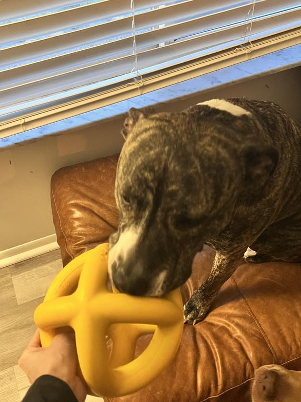 WoofBite Ultra-Tough XL Giant Ring Ball Dog Chew Toy | Chewy