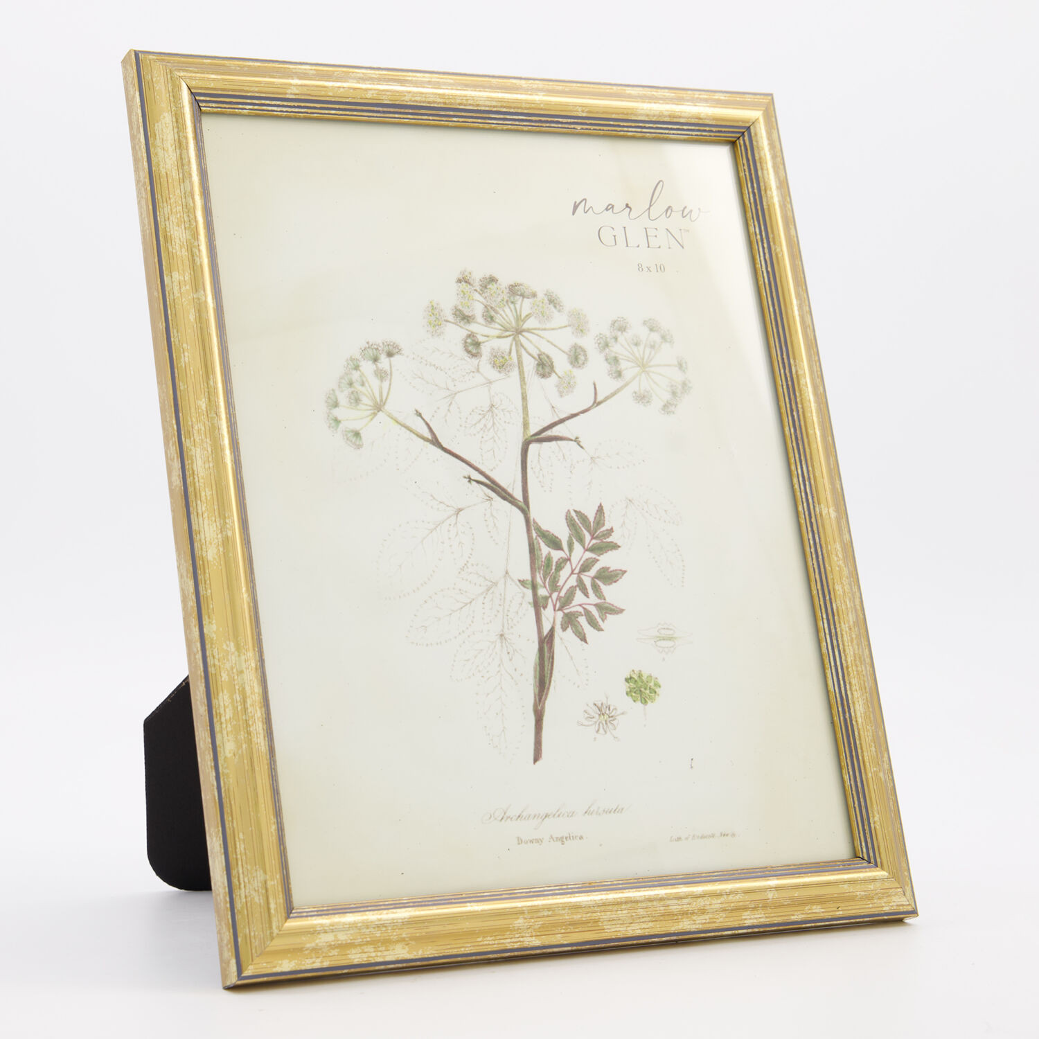 Marlow Glen | TK Maxx