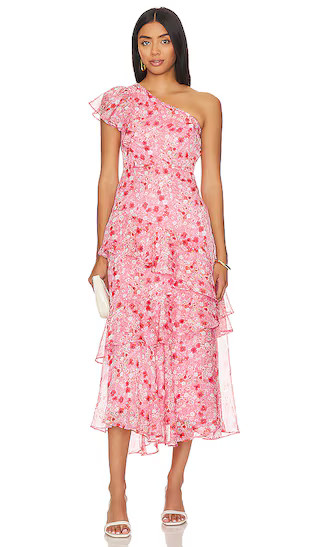 Victoriana Dress in Pink & Red Floral | Revolve Clothing (Global)