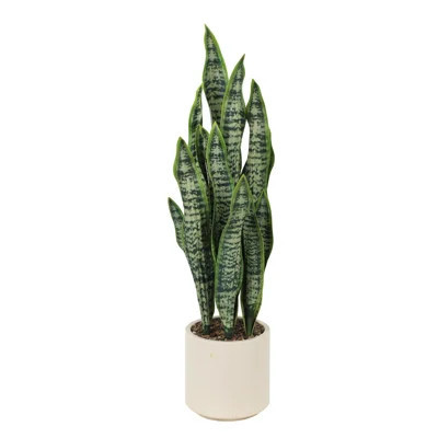 Faux Snake Plant Tall Fake Sansevieria with Planter, UV Resistant Artificial Tongue Realistic Leaves for Indoor Home Office Bedroom Decor | Wayfair North America