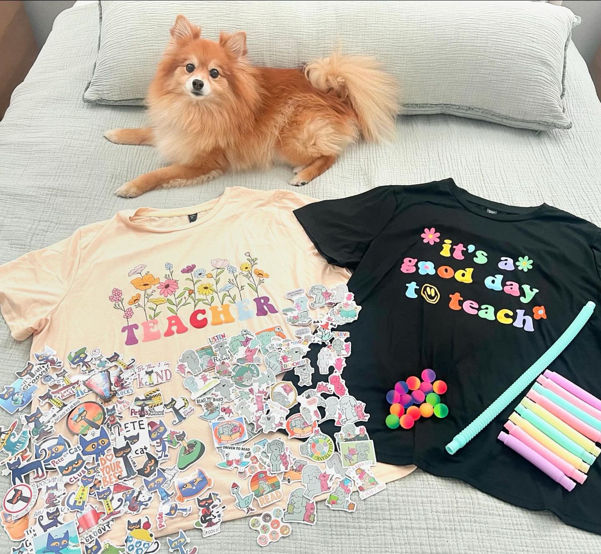 So impressed with this Shein Haul!!🤩💗 Cute Shirts, Pete the Cat/Elephant & Piggie Stickers & Treasure Box items!! 

Ft. Zoey the pom 🐕

(shop my post by using the link in my bio)

#teacher #teachergram #teachersfollowteachers #teachersofinstagram #teachersofig #teachersofinsta #elementaryteacher #teacherlife  #iteachtoo #teacheroutfit #ootd #teacherootd #teach #teachers #teaching #teacherstyle #teacherfashion  #1stgrade #1stgradeteacher #firstgrade #firstgradeteacher 

#LTKKids #LTKWorkwear #LTKStyleTip