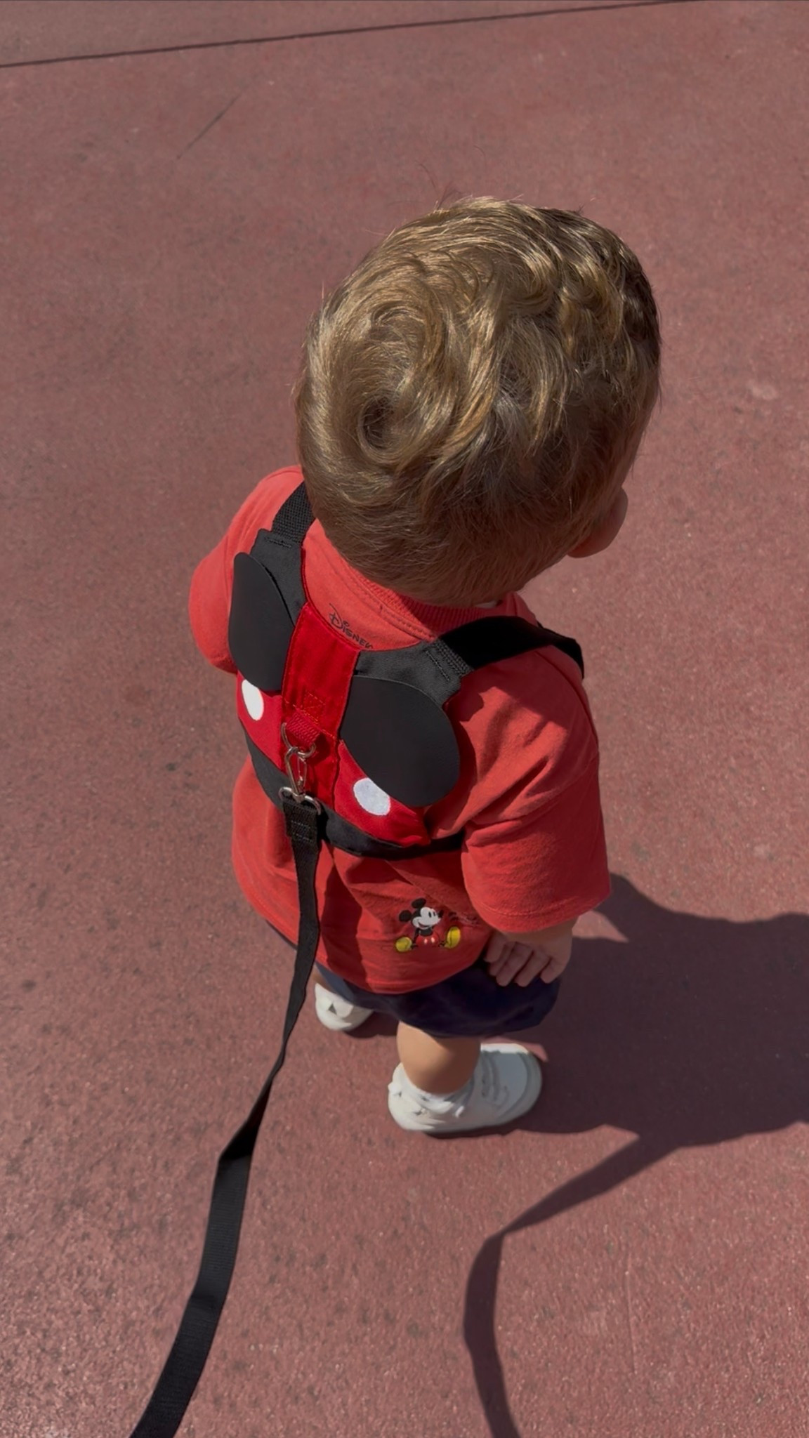 Toddler Leash Harness

#LTKFamily #LTKKids #LTKBaby