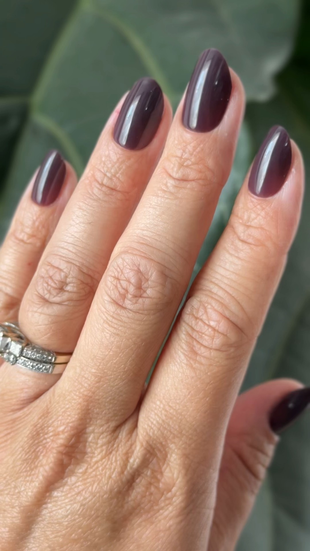 Press ons have been such a game changer for me! Perfect mani in an instant and these fall ones from Olive & June are so perfect!

#LTKBeauty #LTKFindsUnder100 #LTKStyleTip