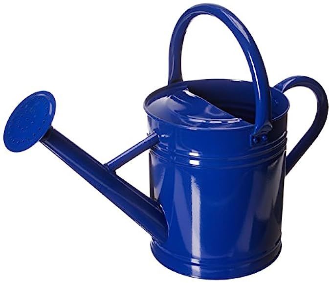 Gardener's Select Watering Can, Blue, 3.5 L-(AW3003P6DB) | Amazon (US)