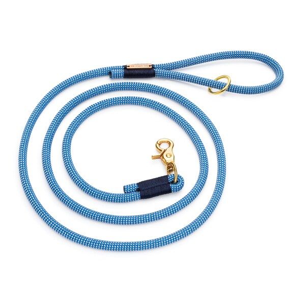 Lagoon rope dog leash // Blue climbing rope lead // Unique pet leash with brass hardware // Color... | Etsy (CAD)