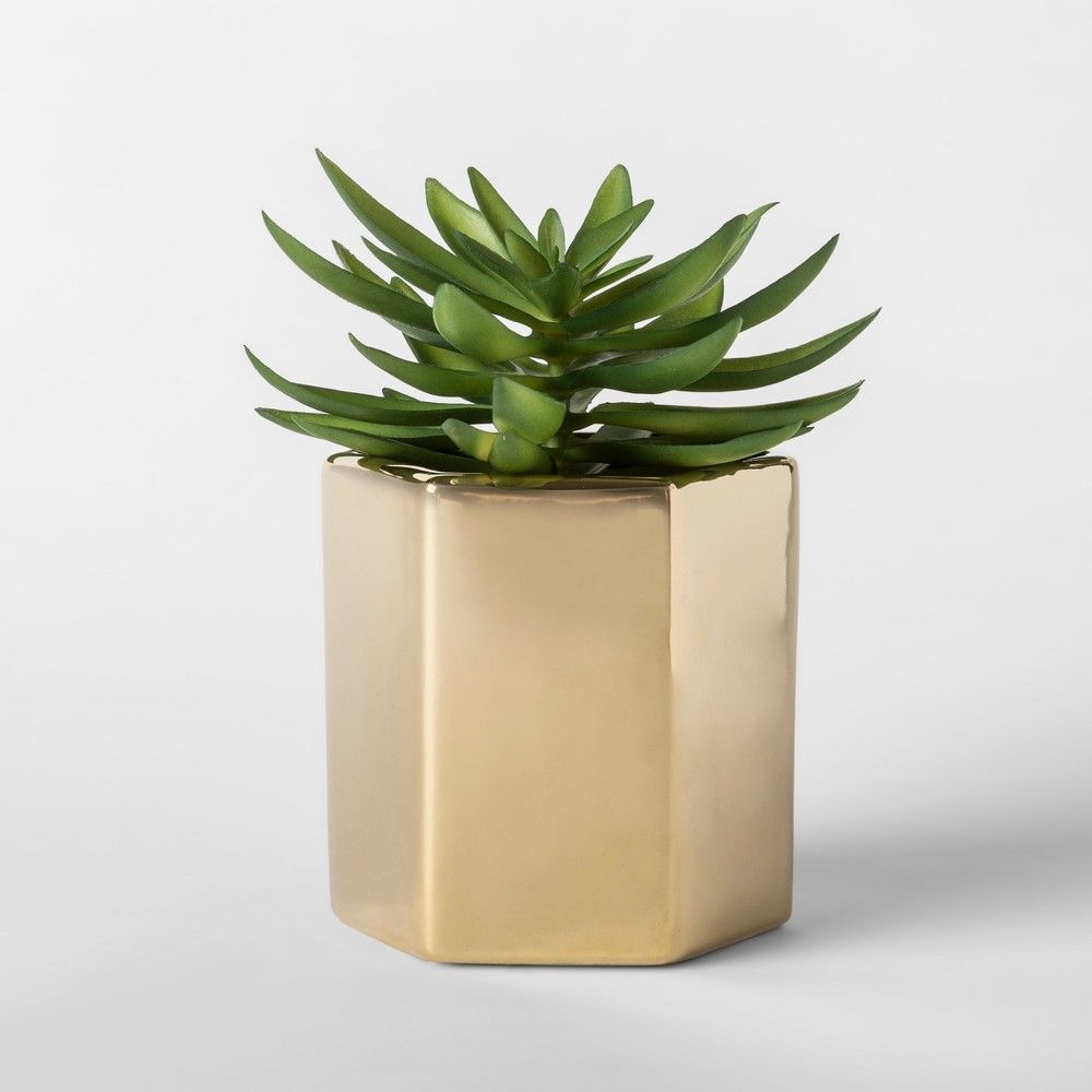 Faux Succulent Plant in Gold Pot - Project 62 | Target