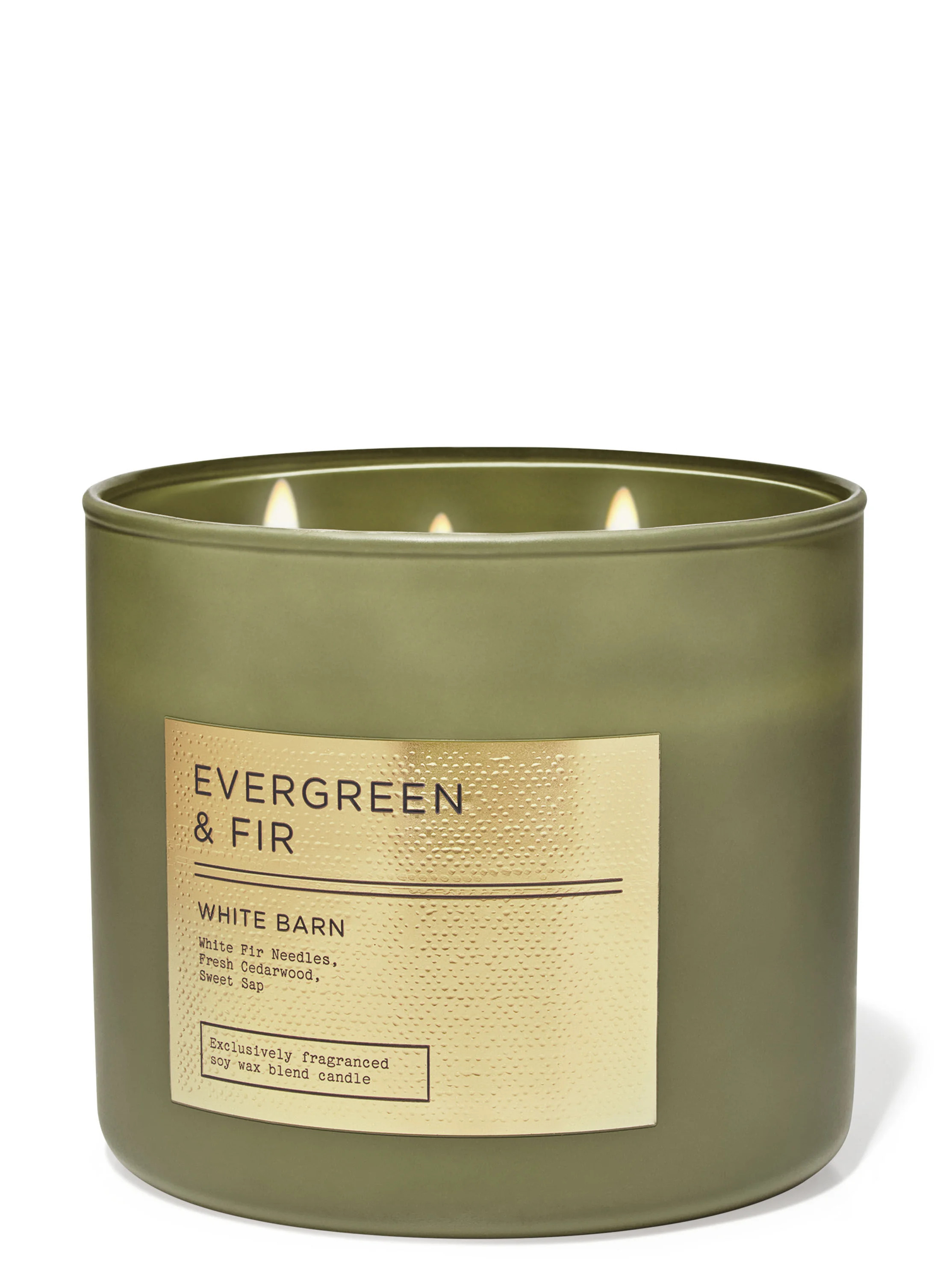 White Barn


Evergreen & Fir


3-Wick Candle | Bath & Body Works