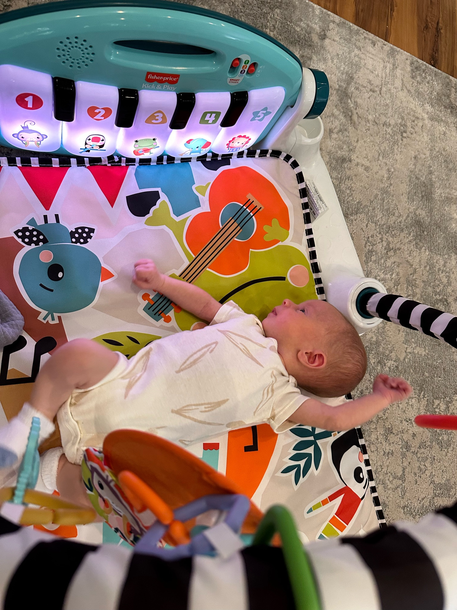 Newborn Items We LOVEE

#LTKBump #LTKBaby #LTKFamily