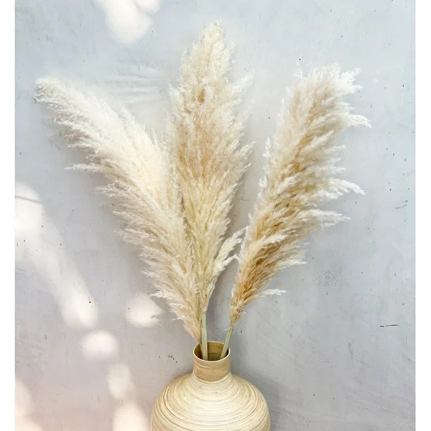 Pampas Grass - Tall Big 4 Stems 48" (4ft) Length Natural Dried Plants Faux Pampas for Flower Arra... | Walmart (US)