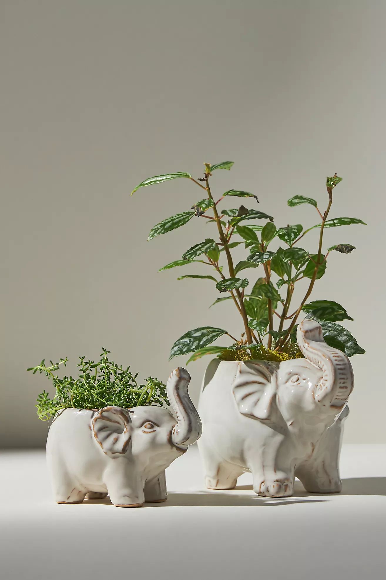 Trumpeting Elephant Pot | Anthropologie (US)