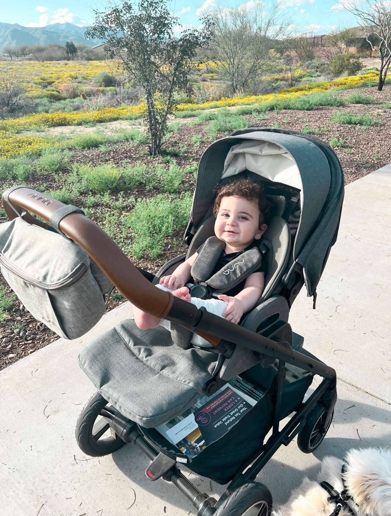 Must have for new moms! super light weight, functional + easy to get in and out of the car with just a click! 

#baby #babyboy #babygear #babystroller #babygirl #babyitems #babymusthaves #newborn #nuna #nunastroller #nunamixxnext #nunamixxnextstroller #babyregistry #babygifts #newmomgifts #babyregistrymusthaves #babyshower #babyshowergifts #babyessentials #strollers #nunagear  #strollerbags #momtobe #giftideasformomtobe #giftideasfornewmom #babyregistrygifts #giftideas #nordstromanniversarysale #nordstromsale #nsale 

#LTKBaby #LTKSaleAlert #LTKBump