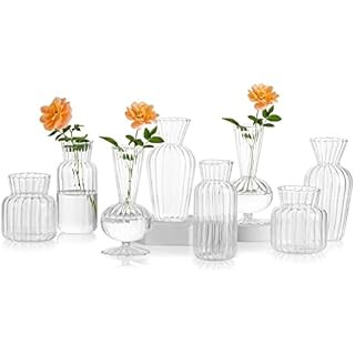 Modern Clear Glass Bud Vase Bulk Set: Glasseam 8Pcs Small Mini Flower Centerpieces Vases Handmade... | Amazon (US)