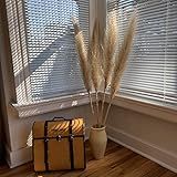 Pampas Grass Natural SALE!!! 4pcs 48in. Off White Extra Large Clean Fluffy Home Office Boho Wedding  | Amazon (US)
