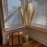 Pampas Grass Natural SALE!!! 4pcs 48in. Off White Extra Large Clean Fluffy Home Office Boho Wedding  | Amazon (US)